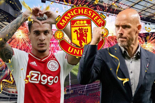 作物如何抵御寄生植物威胁？中国团队最新研究提出解决方案.